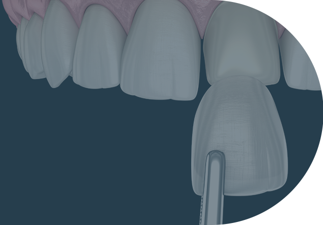 cosmaticDant01_con01_01